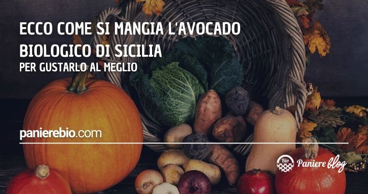 Ecco come si mangia l'avocado biologico di Sicilia per gustarlo al meglio