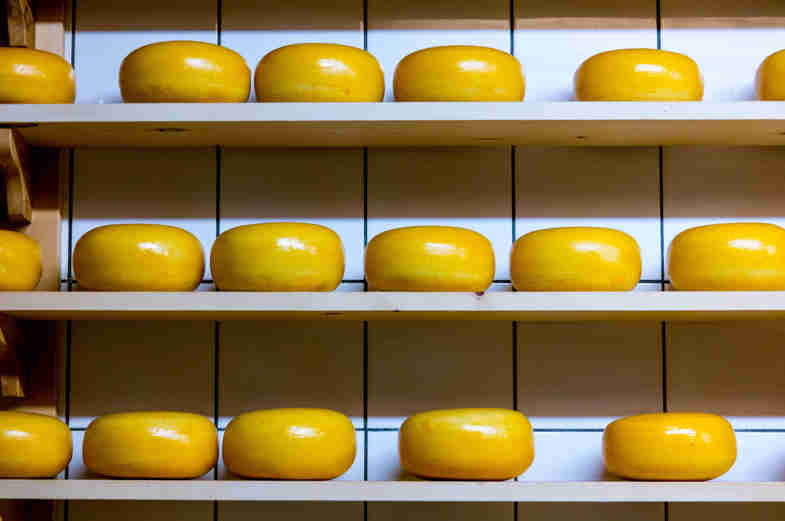 dove comprare formaggi biologici online