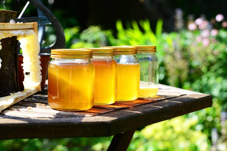 Il miele biologico è ricco di tanti nutrienti benefici per la salute