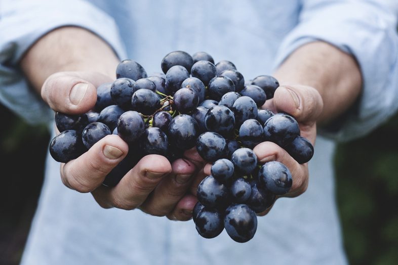 Rimedi per togliere macchie nere d'uva dalle mani