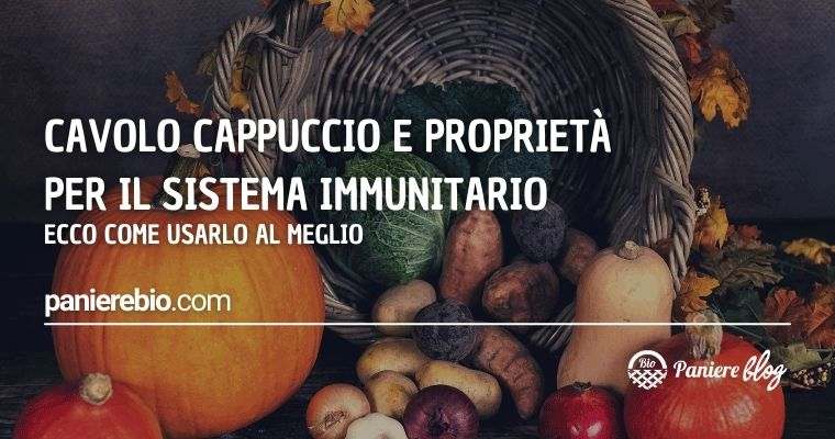 Cavolo cappuccio e proprietà per il sistema immunitario: ecco come usarlo.