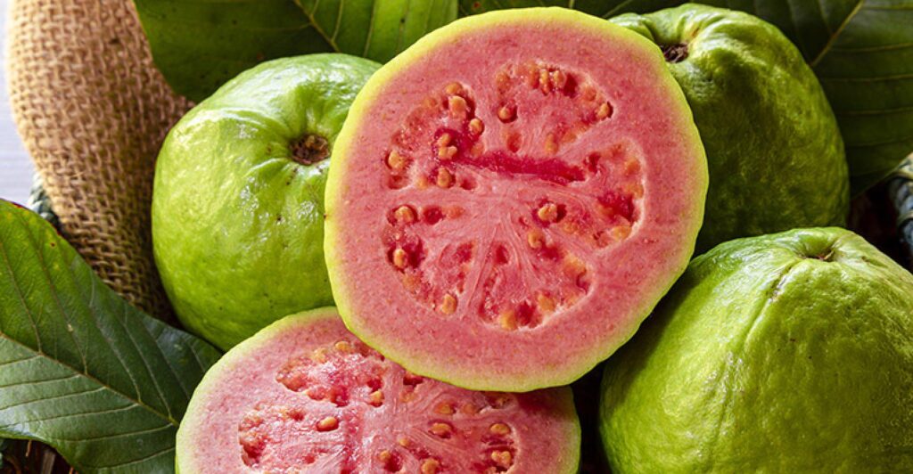 guava siciliana biologica