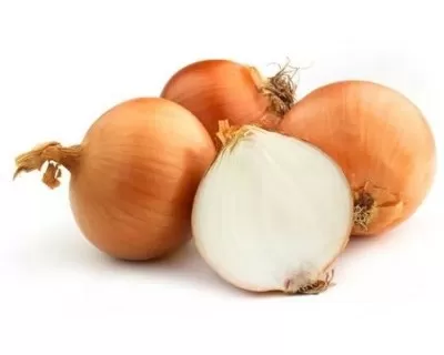 Cipolla Dorata Biologica