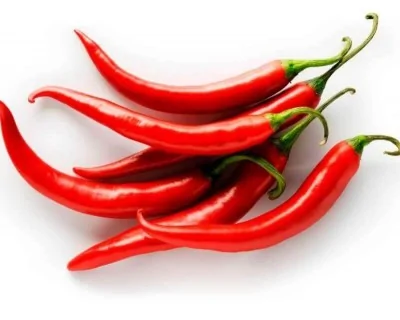 PEPERONCINO ROSSO BIO